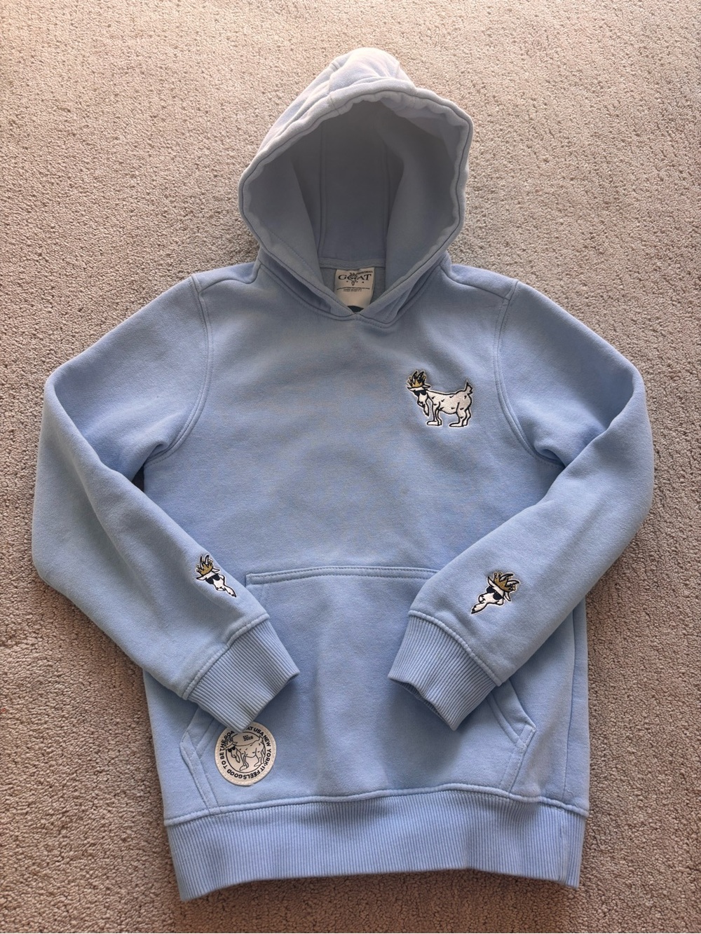 GOAT USA Light Blue Kids Pullover Hoodie with Goat Embroidered Details